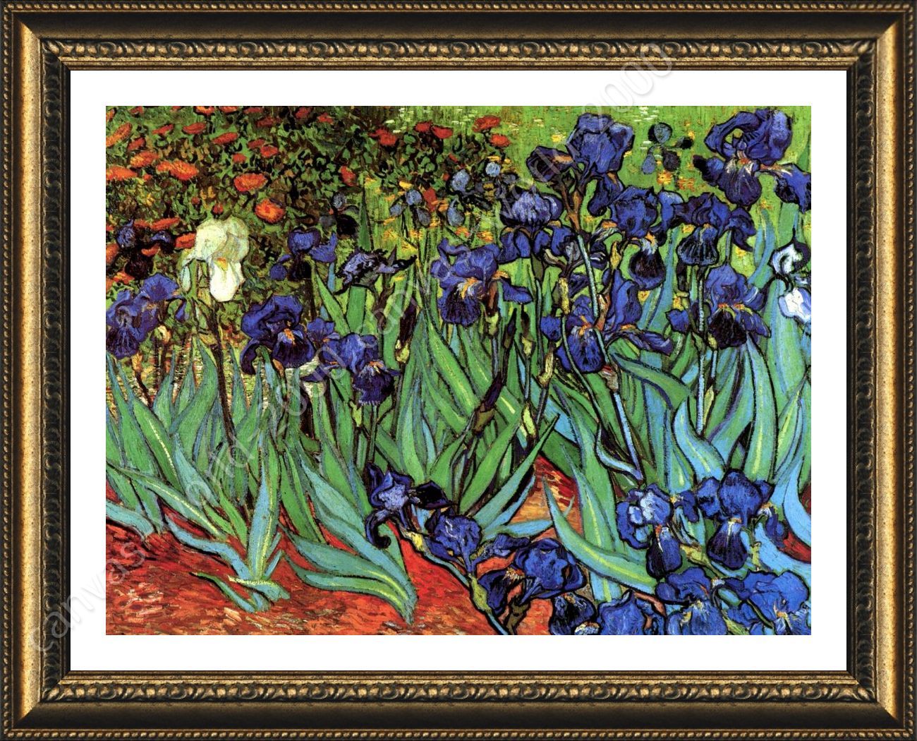 Irises by Vincent Van Gogh | Framed canvas | Wall art print paint ...