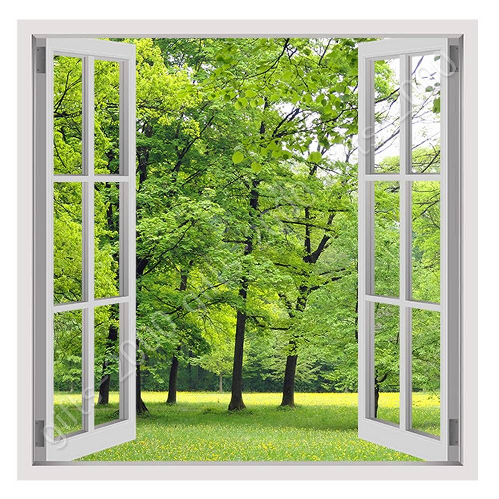 Green Nature By Fake 3d Window 