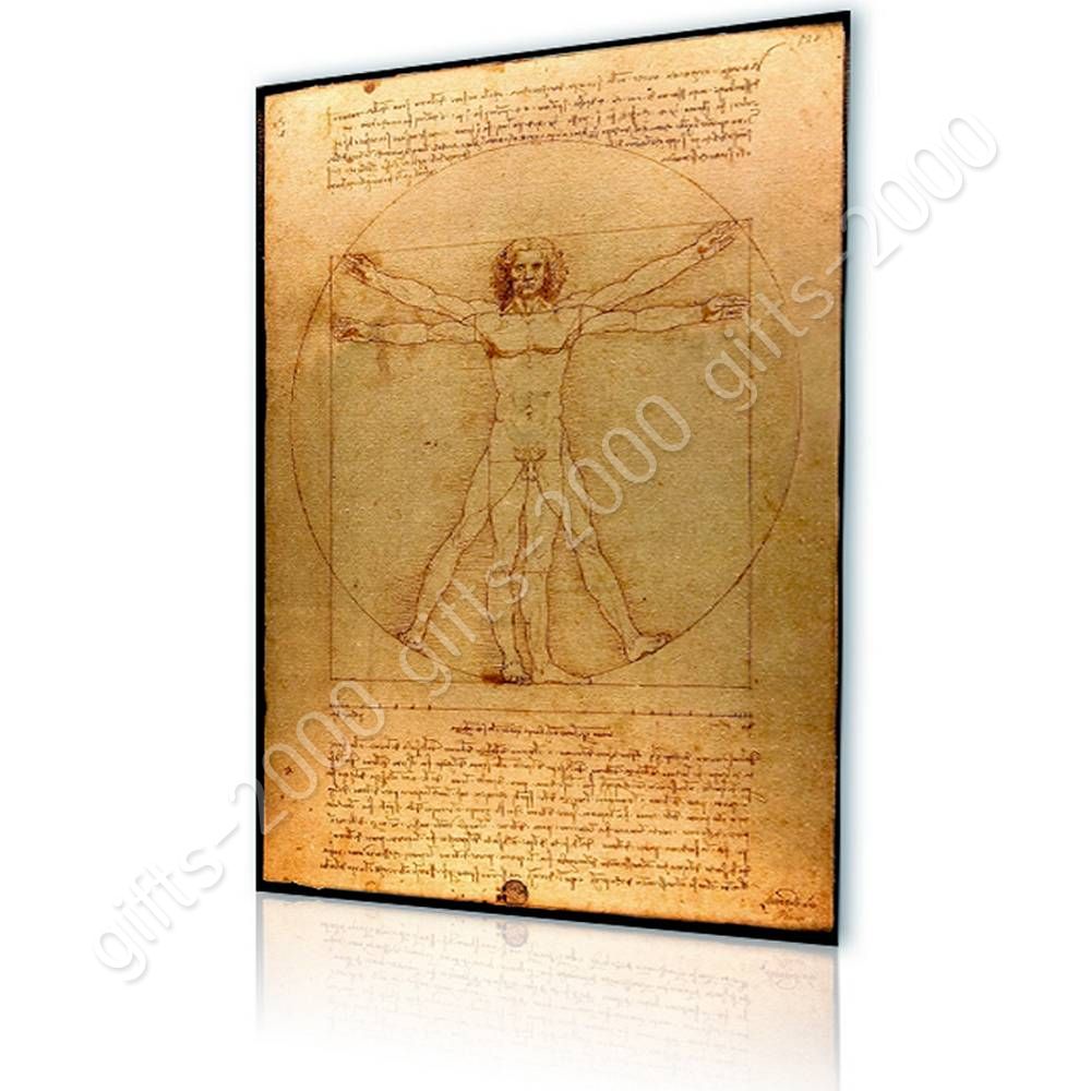 The Vitruvian Man By Leonardo Da Vinci Canvas Rolled Wall Art Hd Picture 9781879667037 Ebay