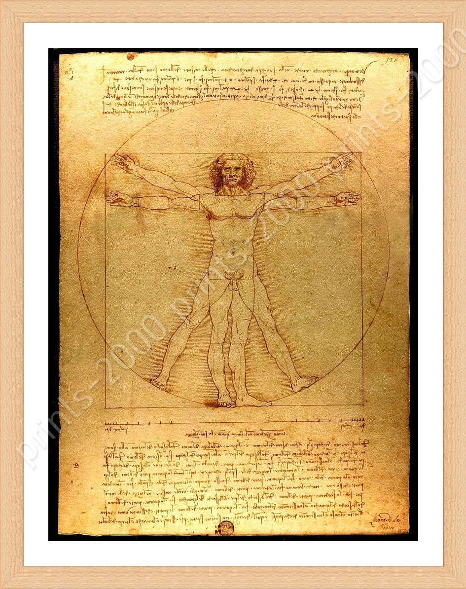 The Vitruvian Man By Leonardo Da Vinci | Framed Canvas | Wall Art ...